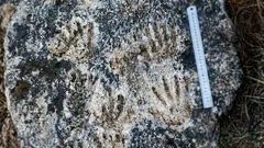 Wetenschappers vonden handafdrukken op een afgelegen plek: niemand weet wie ze achterliet