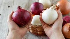 Weinig mensen weten het: dit is het belangrijkste verschil tussen witte en rode uien