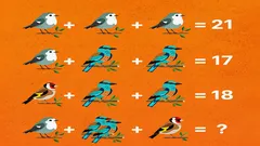 Alleen een genie vindt het juiste antwoord: een verrassend lastige puzzel