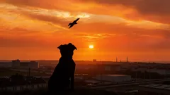 Hond op straat gedumpt met een wrede brief: zelfs vrijwilligers waren geschokt