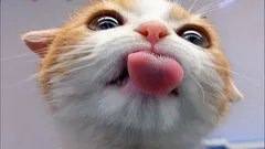 Welke smaak kunnen katten niet onderscheiden? Het antwoord zal je zeker verrassen