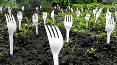 De buren lachten, totdat ze het resultaat zagen: Waarom heb je vorken in de moestuin nodig?